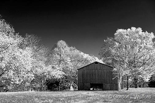 Autumn Tobacco Barn_24798 (pIR).jpg - Photographed along the Natchez Trace Parkway in Tennessee, USA.